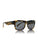 LENOX - Cider Tortoise CR40 (GUYS)
