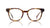 SQUIRE Lynx Tortoise Clear Demo (GIRLS)