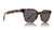 SQUIRE - Lynx Tortoise Black POLARIZED (GUYS)