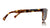 SQUIRE - Lynx Tortoise Black POLARIZED (GUYS)