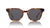 SQUIRE - Lynx Tortoise Black POLARIZED (GUYS)